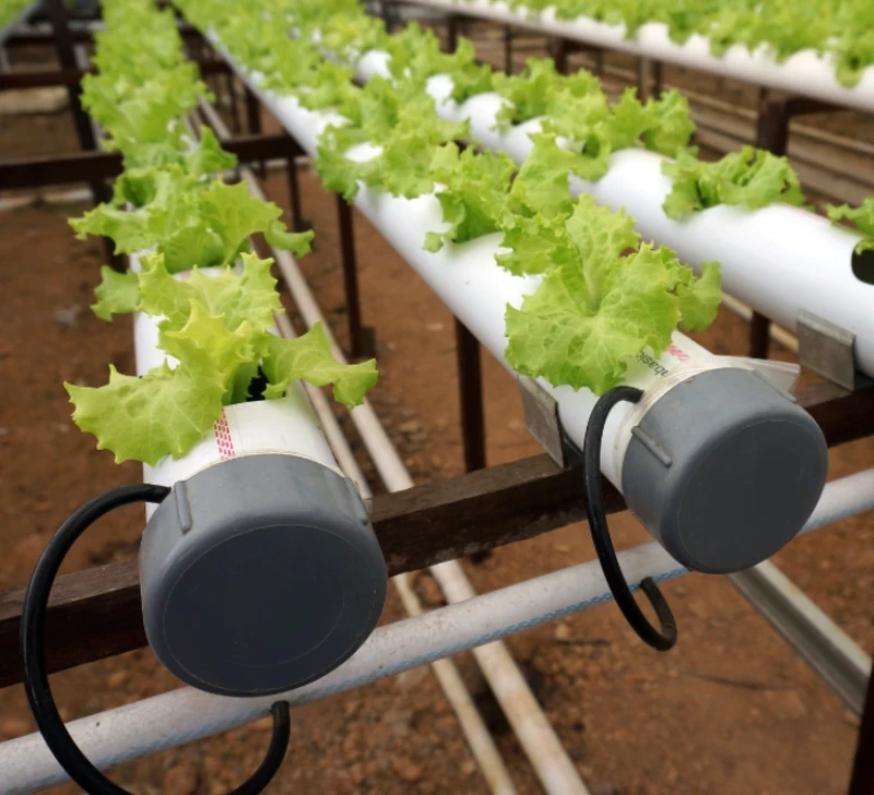 水培生菜种植系统中的注塑成型塑料管端盖和配件